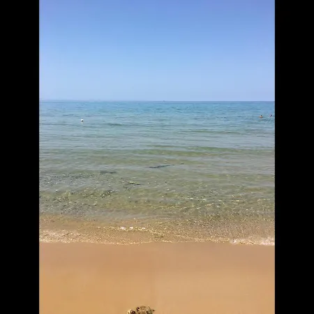 Ibiscus